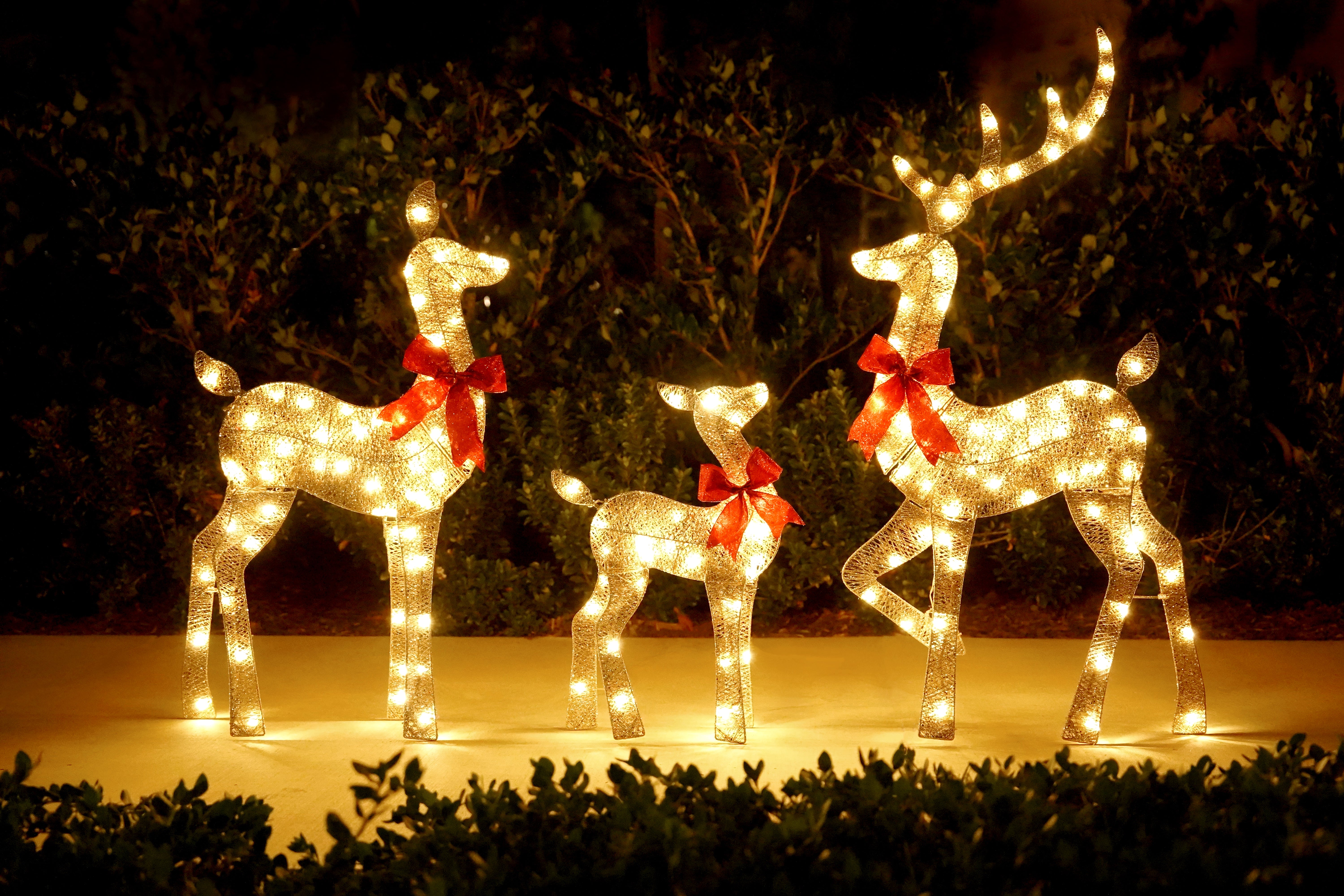 Outdoor reindeer store christmas lights