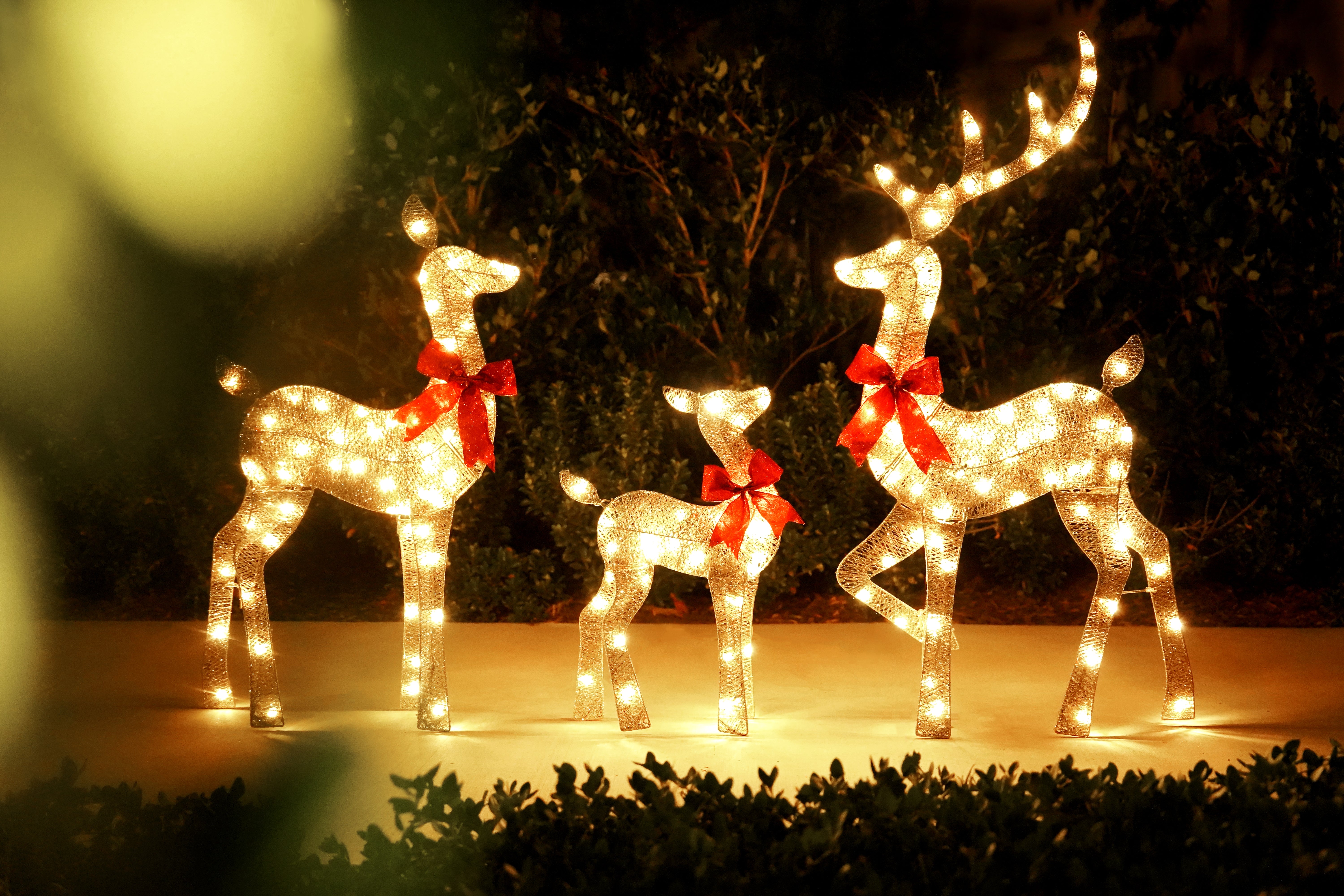 Outdoor christmas online deer